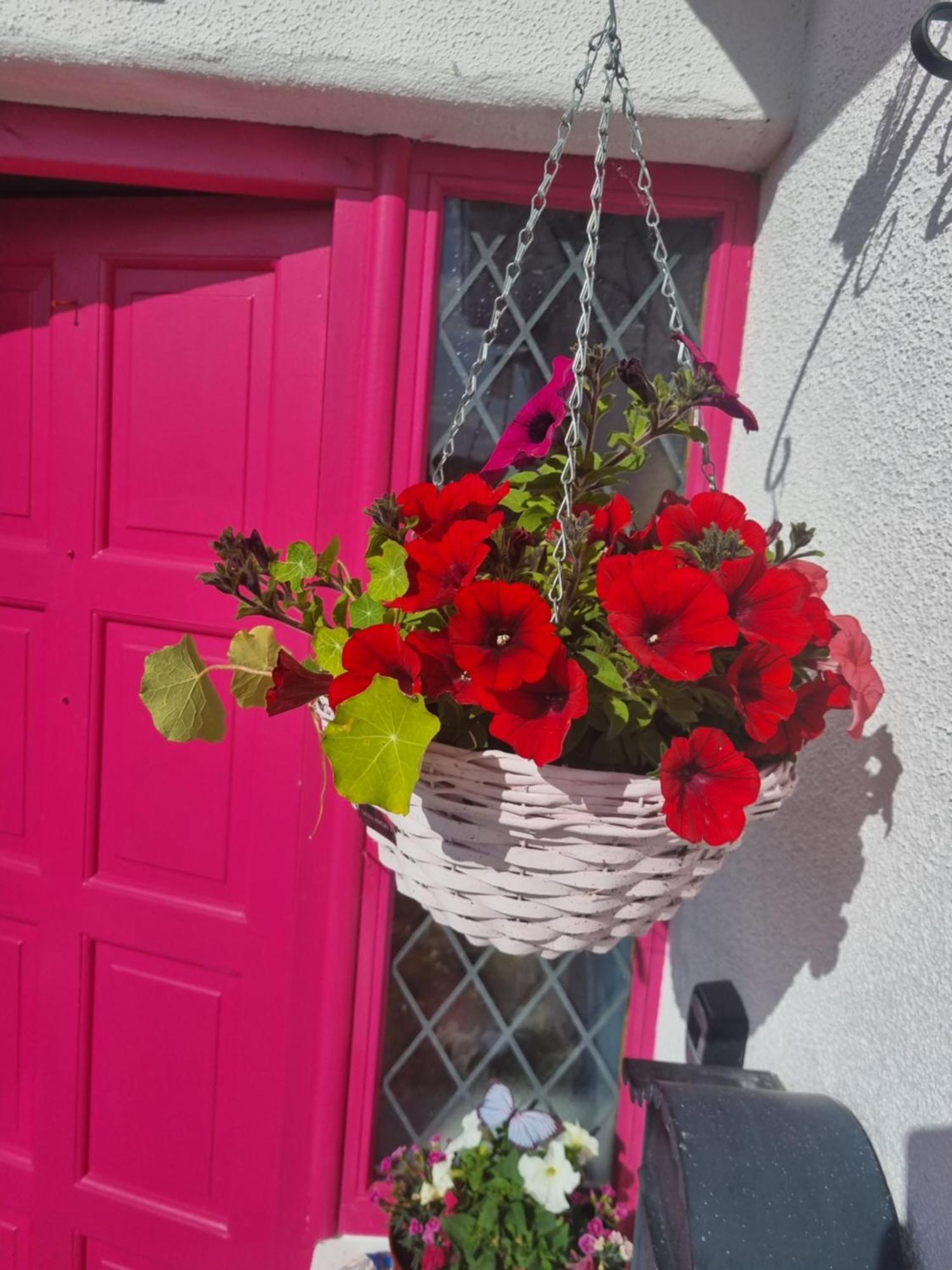 The Pink Door Apartment Killala Exterior foto